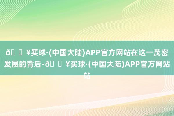 🔥买球·(中国大陆)APP官方网站在这一茂密发展的背后-🔥买球·(中国大陆)APP官方网站