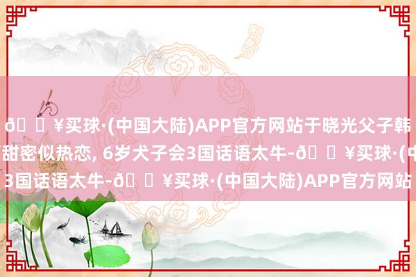 🔥买球·(中国大陆)APP官方网站于晓光父子韩国找秋瓷炫 , 配头俩甜密似热恋, 6岁犬子会3国话语太牛-🔥买球·(中国大陆)APP官方网站