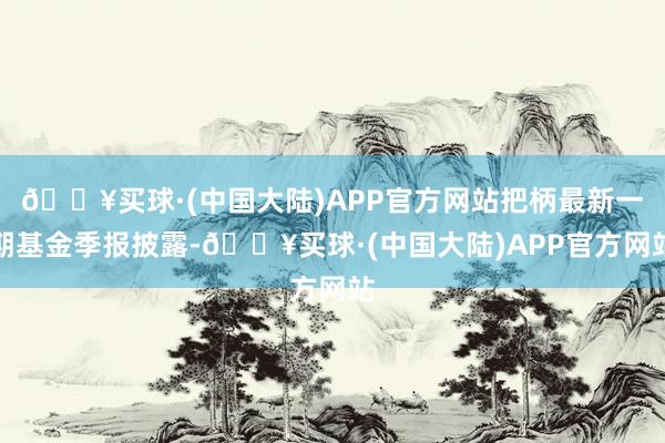 🔥买球·(中国大陆)APP官方网站把柄最新一期基金季报披露-🔥买球·(中国大陆)APP官方网站