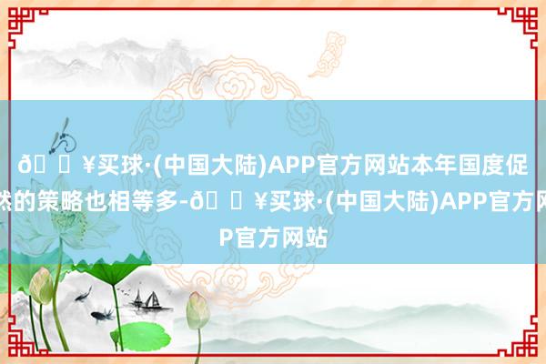 🔥买球·(中国大陆)APP官方网站本年国度促遽然的策略也相等多-🔥买球·(中国大陆)APP官方网站