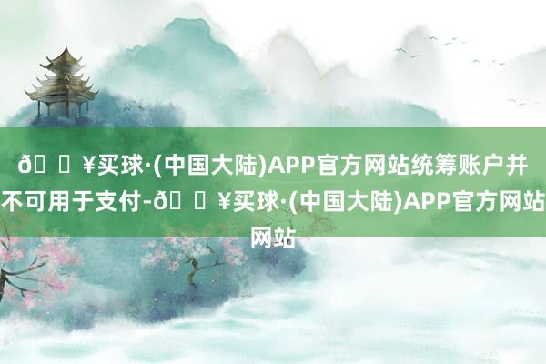 🔥买球·(中国大陆)APP官方网站统筹账户并不可用于支付-🔥买球·(中国大陆)APP官方网站