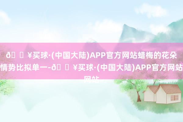 🔥买球·(中国大陆)APP官方网站蜡梅的花朵情势比拟单一-🔥买球·(中国大陆)APP官方网站