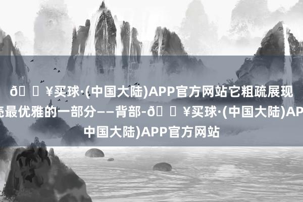 🔥买球·(中国大陆)APP官方网站它粗疏展现出女性躯壳最优雅的一部分——背部-🔥买球·(中国大陆)APP官方网站